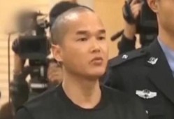 张扣扣最新爆料,揭秘案件背后惊人真相