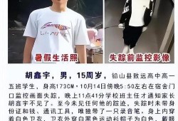 最新爆料胡鑫宇,揭秘真相背后的疑云重重