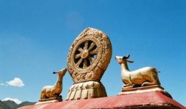 鹿野苑平藏技能最新爆料,揭秘神秘力量背后的奥秘