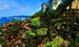 大渝网爆料台最新金佛山,揭秘最新奇观，探寻自然奇景的奥秘”