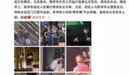 四冬最新爆料,揭秘娱乐圈惊天秘密