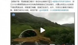 青岛爆料谣言最新消息,真相与流言的较量