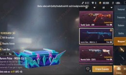 pubg国际服最新手册爆料,最新Pubg国际服手册爆料，带你领略游戏新篇章