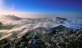 大渝网爆料台最新金佛山,揭秘最新奇观，探寻自然奇景的奥秘”