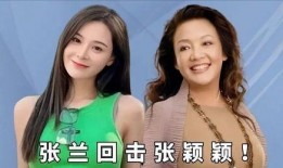 张颖颖最新爆料张兰回应视频,揭秘背后真相