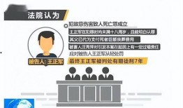 张扣扣最新爆料,揭秘案件背后惊人真相