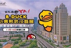b.duck最新爆料,揭秘娱乐圈最新动态